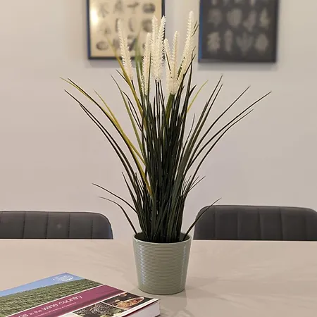 Salus * 维多利亚