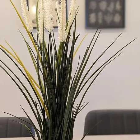 Salus * ビクトリア